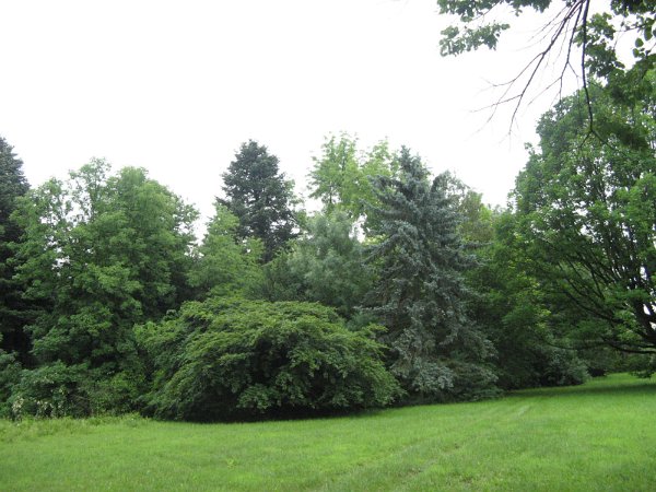 Szarvas 020